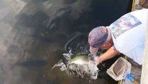 Рыбалка голыми руками